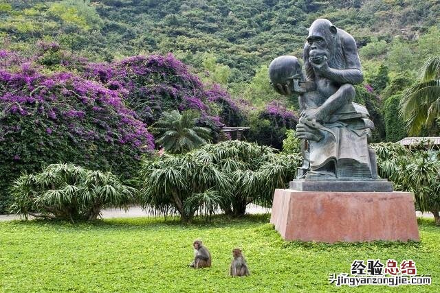 三亚的景点排名一览表 三亚周边游玩景点推荐