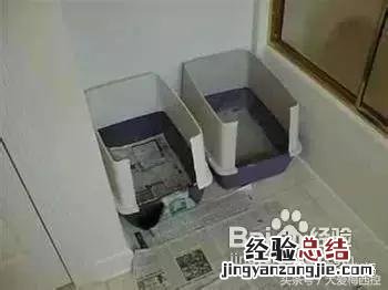 如何训练小型狗狗定点大小便 怎样训练狗狗定点大小便