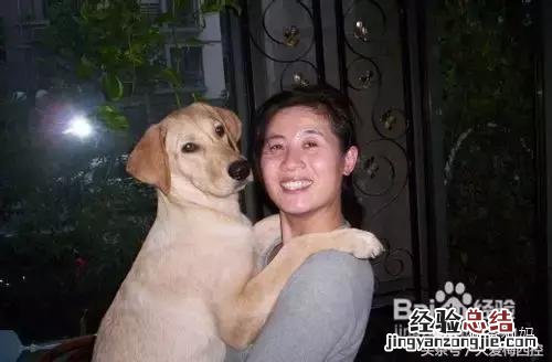 如何训练小型狗狗定点大小便 怎样训练狗狗定点大小便