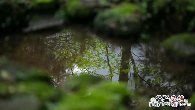 都江堰景区一日攻略最新版 成都都江堰一天旅游攻略