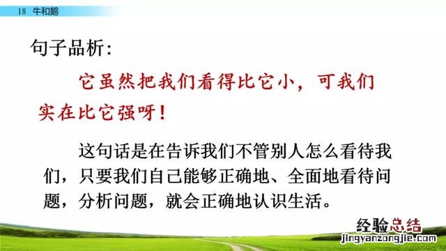 四年级上册第18课牛和鹅知识清单 四年级上册18课牛和鹅学习资料