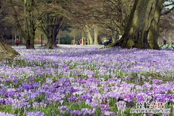 感悟人生的句子现实透彻引人共鸣 感悟人生经典语句子说说