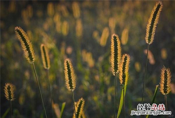 感悟人生的句子现实透彻引人共鸣 感悟人生经典语句子说说