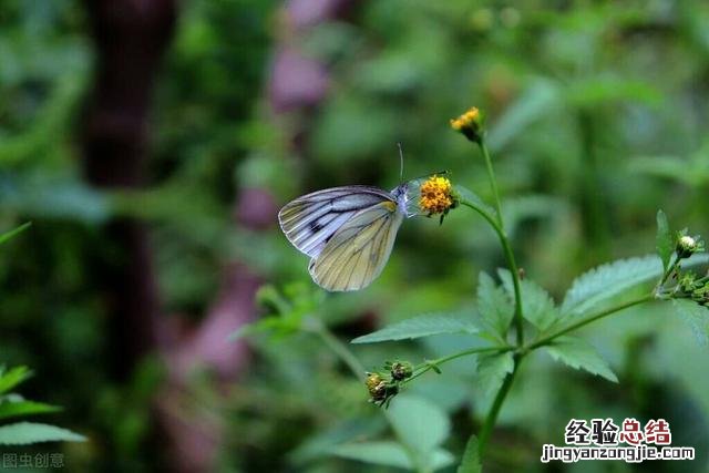 24句朋友圈醒悟人生的经典句子 情感人生感悟的朋友圈说说