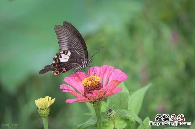 24句朋友圈醒悟人生的经典句子 情感人生感悟的朋友圈说说