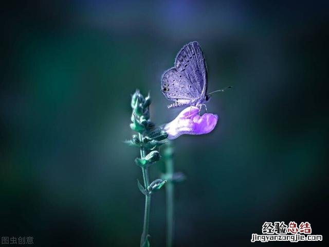 24句朋友圈醒悟人生的经典句子 情感人生感悟的朋友圈说说