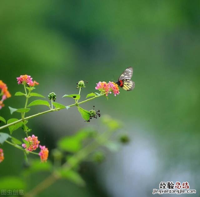 24句朋友圈醒悟人生的经典句子 情感人生感悟的朋友圈说说