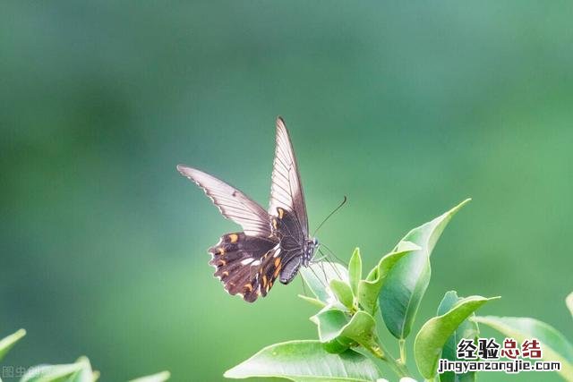 24句朋友圈醒悟人生的经典句子 情感人生感悟的朋友圈说说