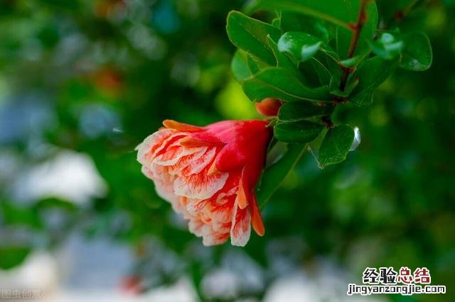 24句朋友圈醒悟人生的经典句子 情感人生感悟的朋友圈说说