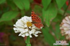 24句朋友圈醒悟人生的经典句子 情感人生感悟的朋友圈说说