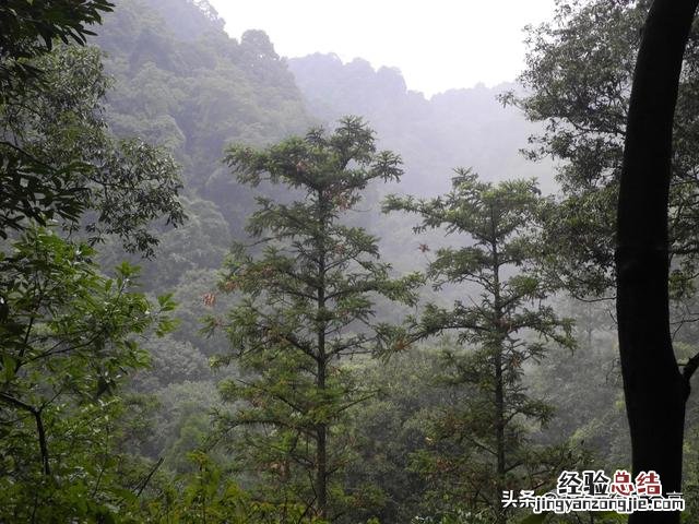 四川青城山旅行攻略图解一下 成都青城山自由行旅游攻略图文