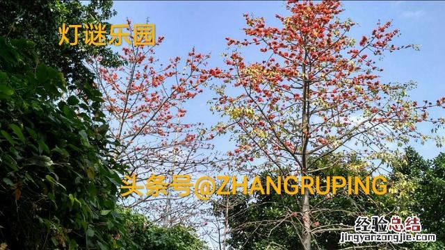 经典灯谜大全集 经典灯谜大全及谜底