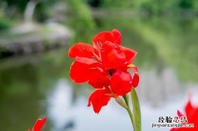 出游诗词最美十首 最美的写景诗词十首