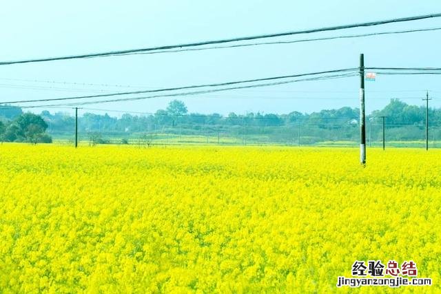 出游诗词最美十首 最美的写景诗词十首