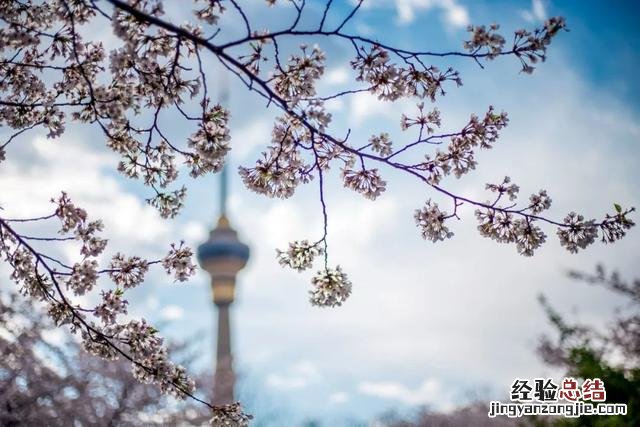 出游诗词最美十首 最美的写景诗词十首