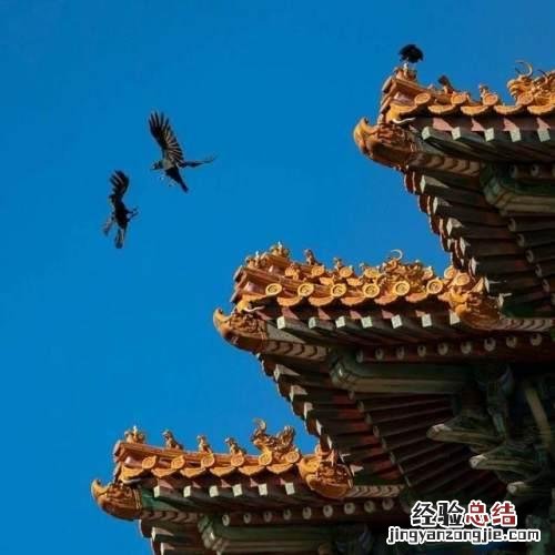 李白写的王昌龄的诗 李白写给王昌龄的送别诗