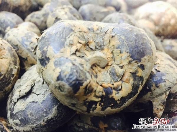 清热消炎的蔬菜有哪些 吃什么蔬菜可以清热解毒