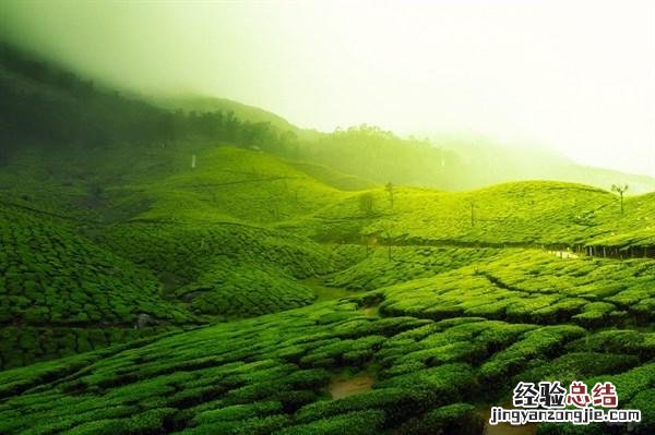 简短的人生哲理句子句句发人深省 充满人生哲理的句子精辟透彻