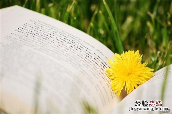 24句朋友圈醒悟人生的经典句子 发朋友圈有关人生哲理的句段