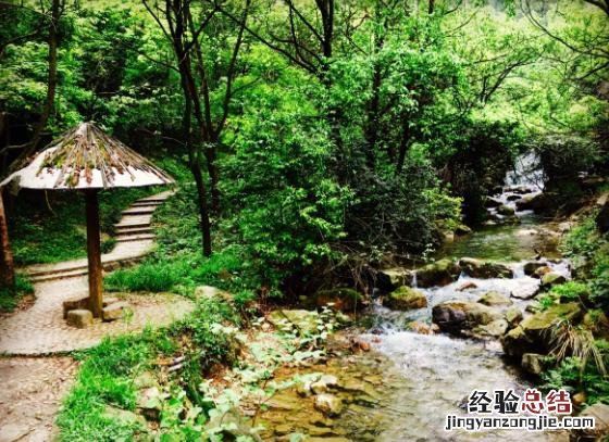李白的送别之情的诗句 最常用的李白送别诗