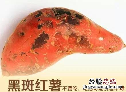 生芽的红薯到底能不能吃 红薯生根发芽了还能吃吗