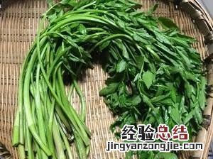 寄生虫最多的蔬菜 寄生虫最多的蔬菜有哪些
