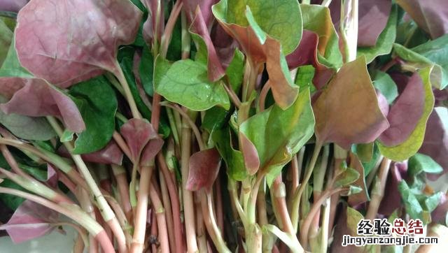 梨子止咳最佳的做法 梨子熬水止咳化痰的做法