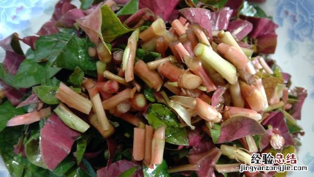 梨子止咳最佳的做法 梨子熬水止咳化痰的做法