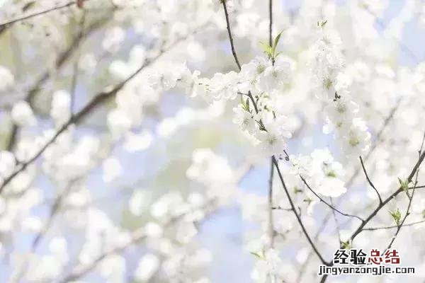 好词好句短一点描写春天 关于描写春天的好词好句好段