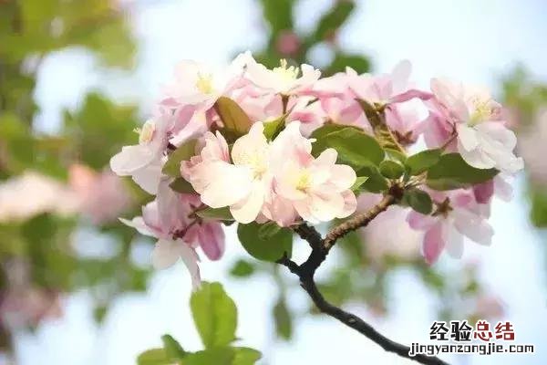 好词好句短一点描写春天 关于描写春天的好词好句好段
