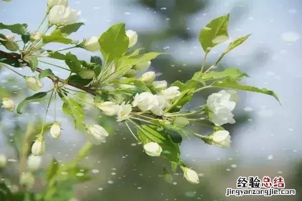 好词好句短一点描写春天 关于描写春天的好词好句好段