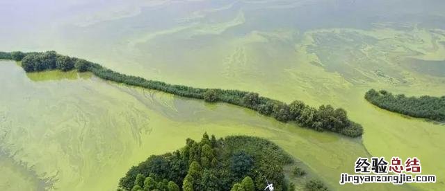 中国最大的淡水湖群分布在哪里 我国五大淡水湖