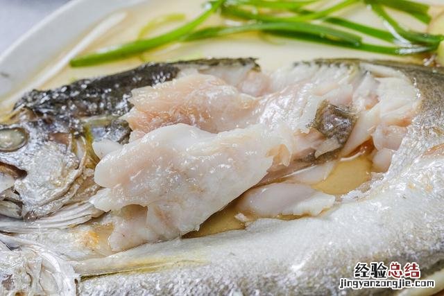 杀多宝鱼的方式与方法 多宝鱼怎么处理