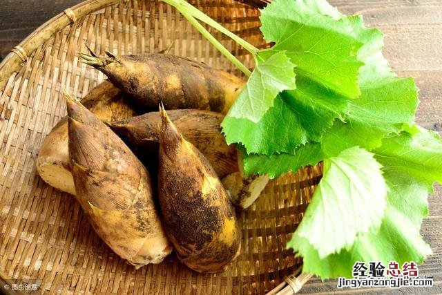 老农传授3个找冬笋小妙招 冬笋怎么找准位置