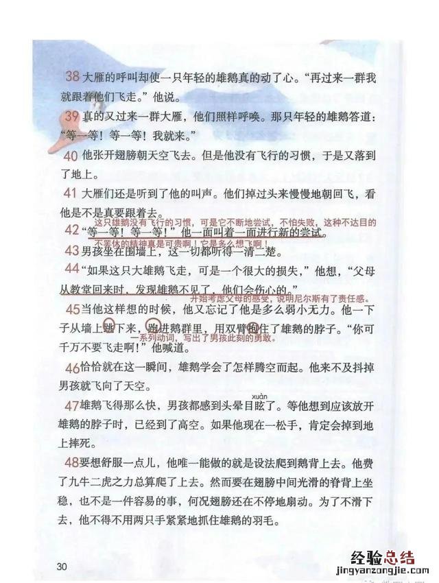 骑鹅旅行记课文及教学设计 骑鹅旅行记的作者