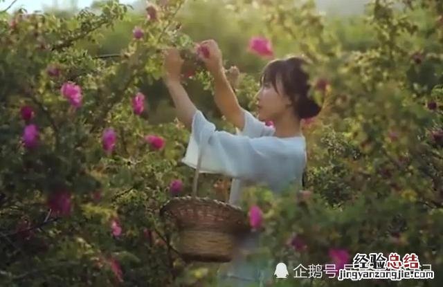 李子柒是靠什么赚钱 李子柒怎么盈利