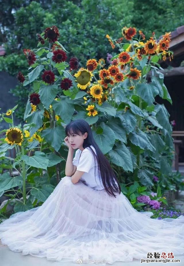 李子柒是靠什么赚钱 李子柒怎么盈利