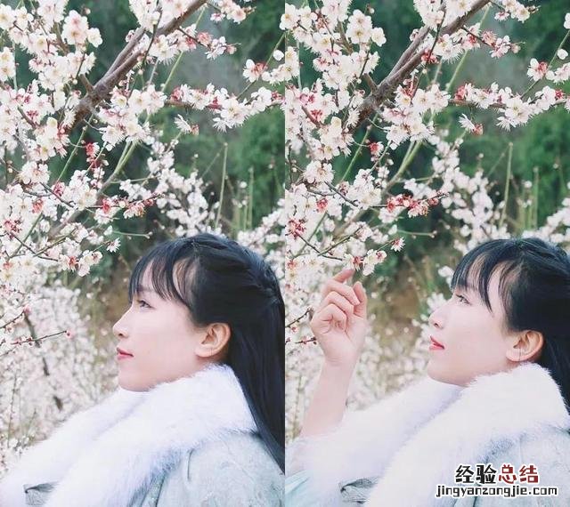 李子柒是靠什么赚钱 李子柒怎么盈利