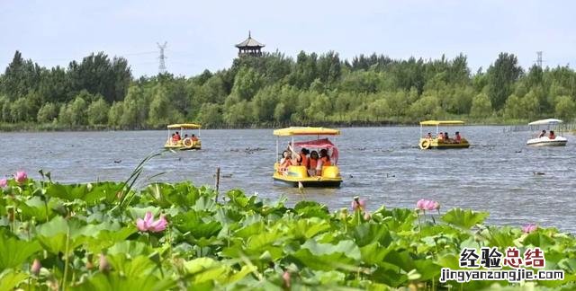 适合自驾和徒步的湿地公园 向海自然保护区旅游攻略