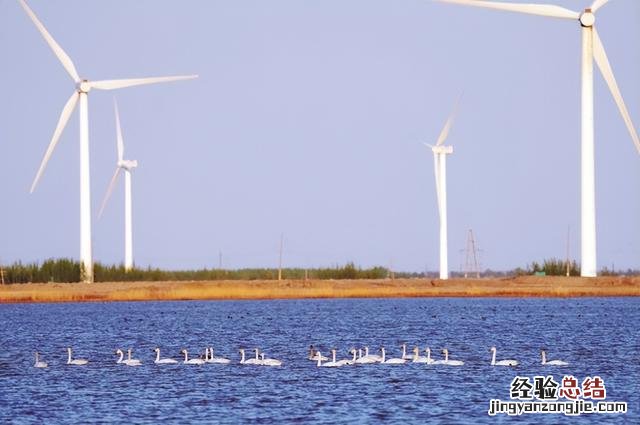 适合自驾和徒步的湿地公园 向海自然保护区旅游攻略