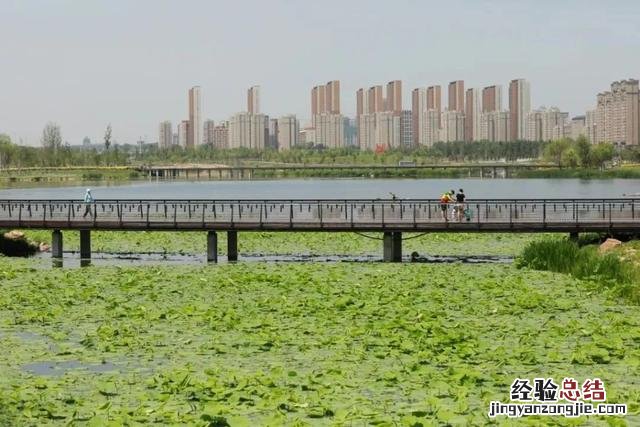 适合自驾和徒步的湿地公园 向海自然保护区旅游攻略