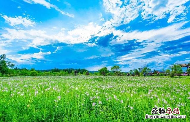 适合自驾和徒步的湿地公园 向海自然保护区旅游攻略