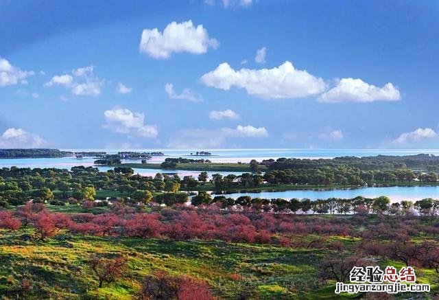 适合自驾和徒步的湿地公园 向海自然保护区旅游攻略