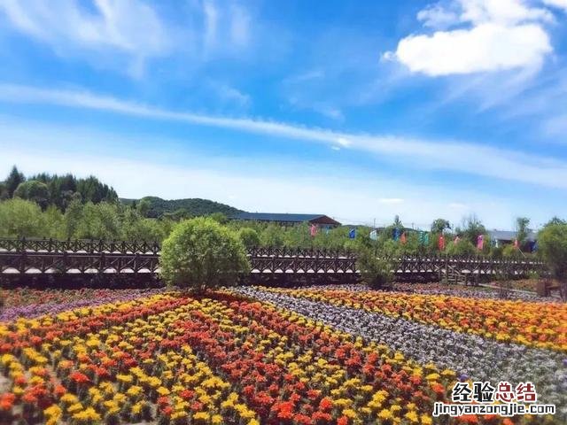 适合自驾和徒步的湿地公园 向海自然保护区旅游攻略