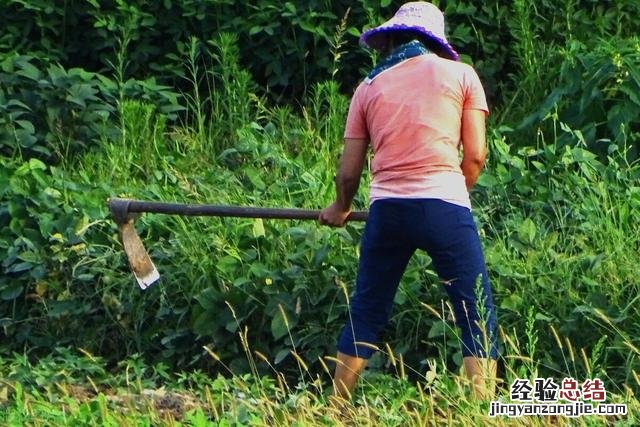 弹幕功能消失补救方法 腾讯视频弹幕设置不见了怎么办