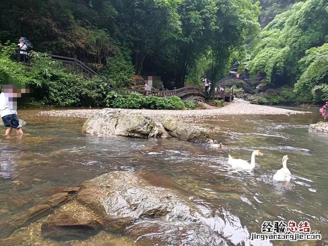 宜昌三峡旅游攻略自由行 三峡人家旅游景点介绍