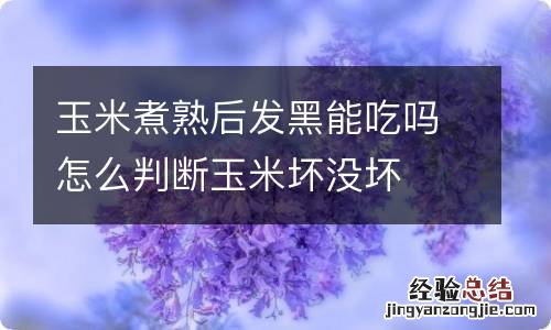 玉米煮熟后发黑能吃吗怎么判断玉米坏没坏
