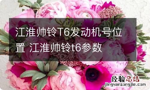 江淮帅铃T6发动机号位置 江淮帅铃t6参数