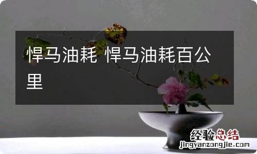 悍马油耗 悍马油耗百公里