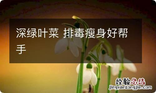 深绿叶菜 排毒瘦身好帮手